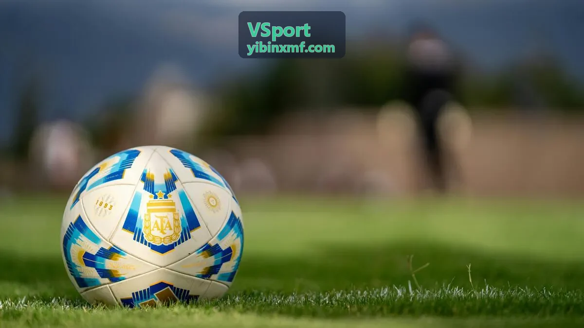 VSport 个人跑步数据分析